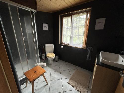 a bathroom with a shower and a sink and a toilet at Le Pacheu in Les Crosets