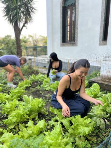 a group of people working in a vegetable garden at Castelo dos Tucanos Host in Rio de Janeiro