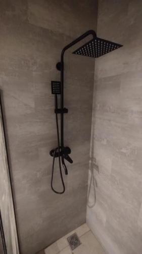 a shower in a bathroom with a shower head at CJ cardones in Cafayate