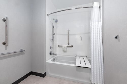 a bathroom with a bath tub and a shower at Hampton Inn & Suites Irving Hwy 183 in Irving