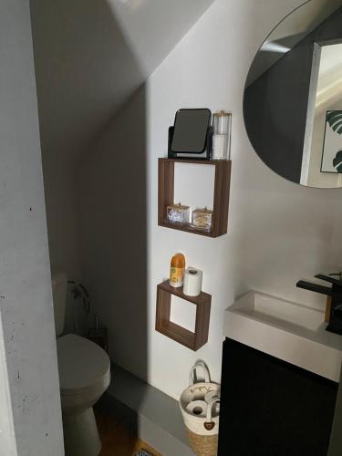 a bathroom with a toilet and a sink and a mirror at Perk25A in Steenokkerzeel
