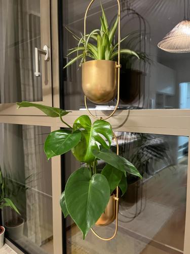 ブルノにあるDesert apartmentのギャラリーの写真