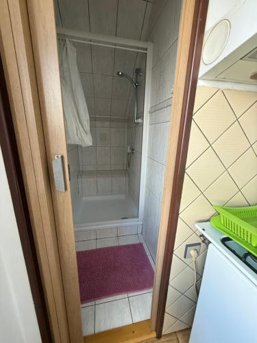 a bathroom with a shower with a purple rug at Pension Barborka in Jičín