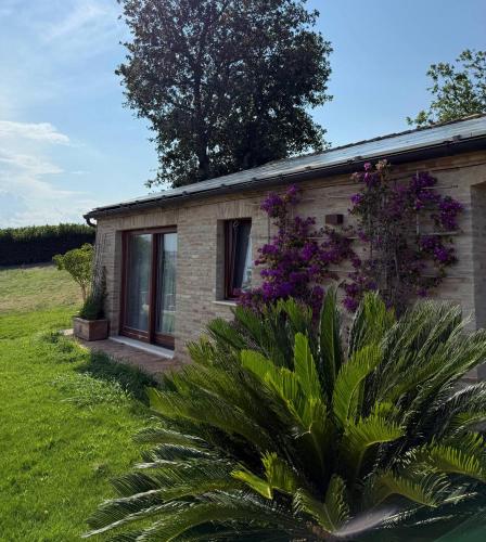 a house with a plant in front of it at Sole in Moresco