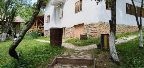 an outside view of a house with a building at Mesteceni Glamping in Nistoreşti