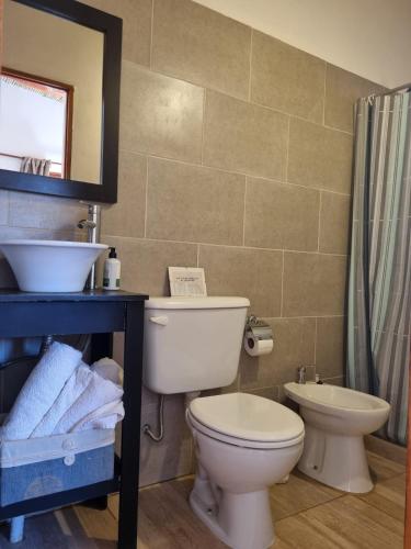 a bathroom with a toilet and a sink and a mirror at Cabaña La Marcelina in Tilcara
