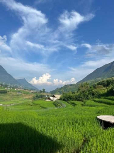 a picnic table in a field of green grass at S Plus Bungalow in Sa Pa