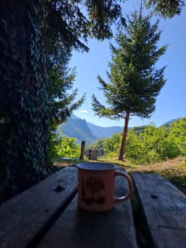 a coffee cup sitting on a wooden table with a view at Valley Tara in Pluzine
