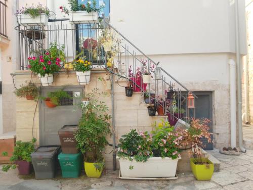 a bunch of potted plants on the side of a building at La Terrazza Sul Borgo -Appartamento- in Cassano delle Murge