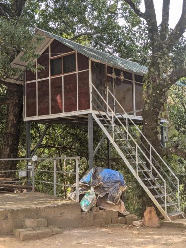 a house that is sitting on a tree at Ashokavanam Heritage Village by N Square in Kanthalloor
