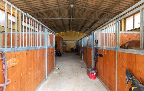 Gambar di galeri bagi Pet Friendly Apartment di Monte Santa Maria Tiberina