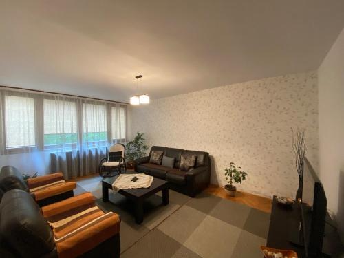a living room with a couch and a table at Lovely entire apartment in Cugir in Cugir