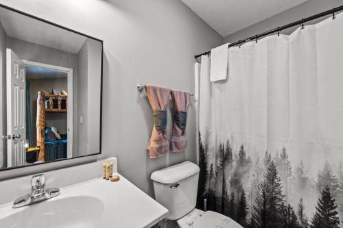 a bathroom with a toilet and a shower curtain at Comfortable Stay Private Hot tub W Arcade in Sevierville