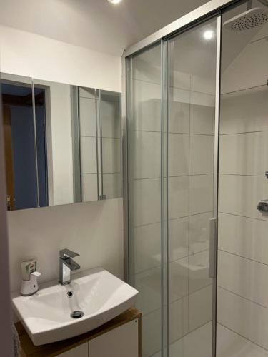a bathroom with a sink and a shower at Haus Knafl in Kappel am Krappfeld