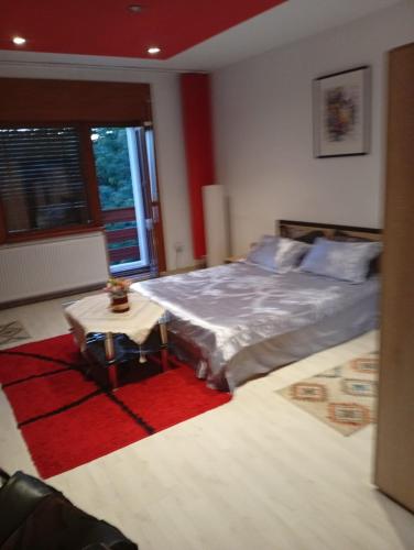 a bedroom with a bed and a table on a red rug at pensiune Valentin, apartament 2 dormitoare cu terasa, Iulius Mall in Timişoara