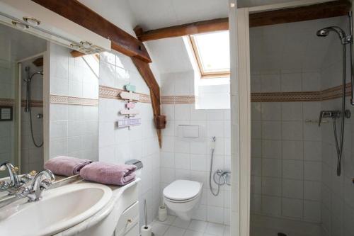a bathroom with a sink and a toilet and a shower at La Garenne avec sa piscine privée proche de Sarlat in Saint-Crépin-et-Carlucet