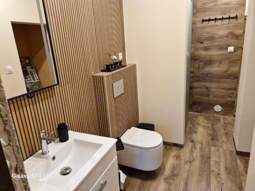 a bathroom with a toilet and a sink at Kaszuby Punkt Klonowo Przywidz sauna klima basen in Przywidz