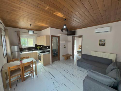 Η κουζίνα ή μικρή κουζίνα στο Suites Near Elafonisi