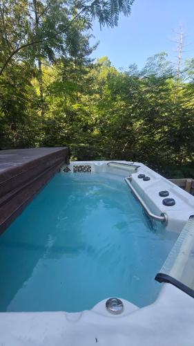 a jacuzziificialificialificialificialificialificialificialificialificialificialificial at Luxe Retreat - King Beds - Sept Dates! - Easy drive - XL Swim Spa - Award Winning! in Sevierville