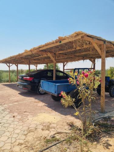 a car parked under a wooden shed with a blue truck at Dar Jamila - Au coeur de l'Oasis - in Gabès