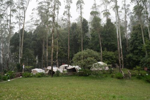 a group of tents in a field with trees at Kuleum Camp And Cabin By ARBA in Baruhtunggul
