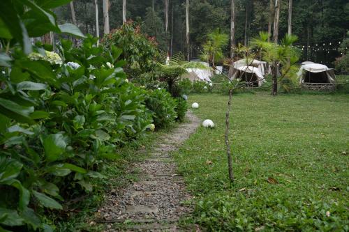 a path in a garden with tents in the background at Kuleum Camp And Cabin By ARBA in Baruhtunggul