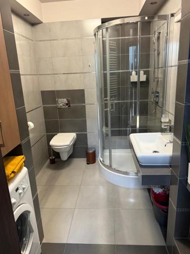 Un baño con ducha, inodoro y lavabo. en Apartament Gardenia Sun, en Międzywodzie