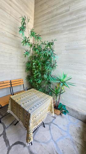 CatNap Guesthouseにある庭