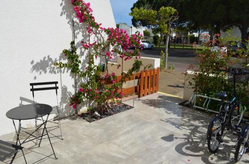 Marina NS Guesthouse