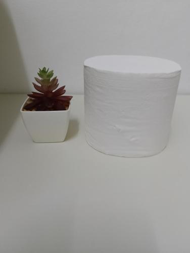 a roll of toilet paper next to a potted plant at Air Puteri Rest House in Mersing