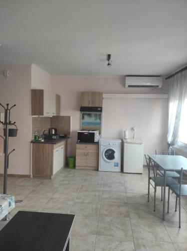 a kitchen with a table and a washing machine at Korina studio in Xanthi