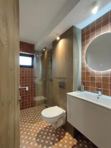 ein Badezimmer mit Toilette, Waschbecken und Spiegel in der Unterkunft Vatra Chalet in Măgura