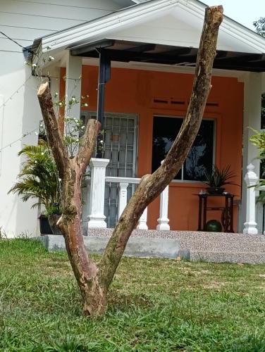 a tree in the grass in front of a house at Air Puteri Rest House in Mersing