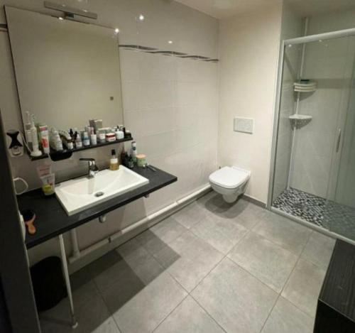 Un baño con lavabo, ducha e inodoro. en STUDIO Etoile 74, en Annemasse