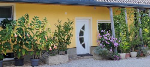 SmlednikにあるMini wellness studio-near the airportの鉢植えと白いドアのある黄色い家