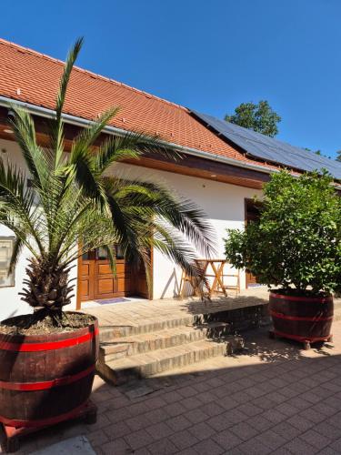 Taman di luar CitrusLiget Vendégház
