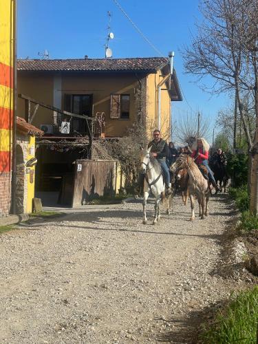 Άλλα ζώα σε αυτό το bed & breakfast ή στη γύρω περιοχή