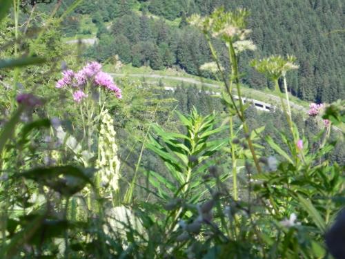 a view of a mountain with flowers and a road at Apartment in Tröpolach near Ski Lift in Tröpolach