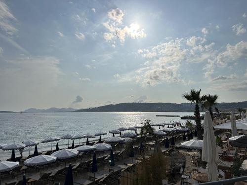 Naturlandskabet i nærheden af lejligheden