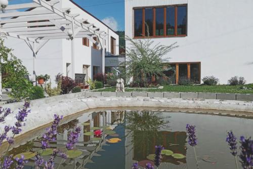 a house with a pond in front of a building at Centrul 3H in Sub Piatra