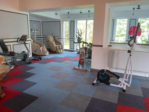 a fitness room with a gym with exercise equipment at Centrul 3H in Sub Piatra