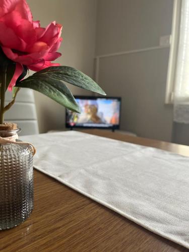 a flower in a vase on a table with a television at Il Tulipano - Villa con giardino in Bionde di Visegna
