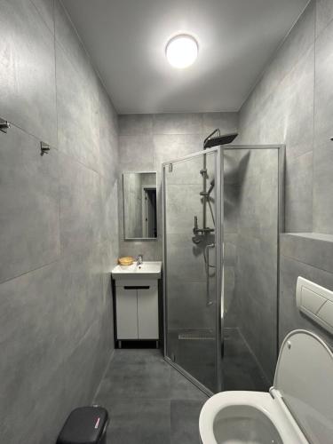 a bathroom with a shower and a toilet and a sink at Villa Caza in Chişinău