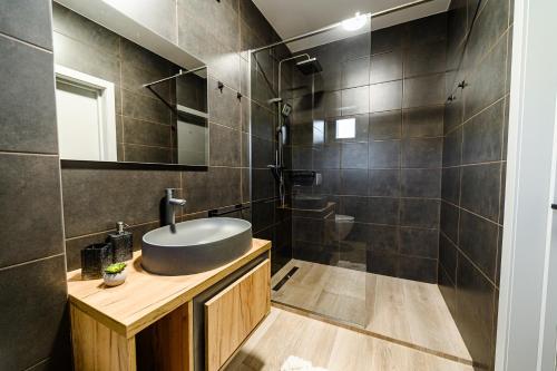 a bathroom with a sink and a mirror at Villa Caza in Chişinău