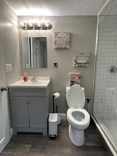 a bathroom with a toilet and a sink at Deland Serenity Place #1 in DeLand