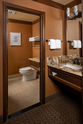 a bathroom with a toilet and a sink and a mirror at Wayfinder Bishop in Bishop