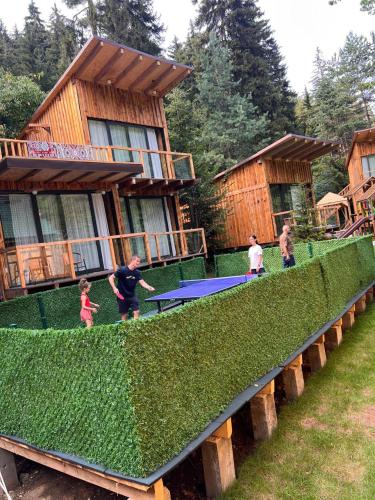 a group of people playing a game of trampoline at ECHIVITI Cottages in Abastumani in Abastumani