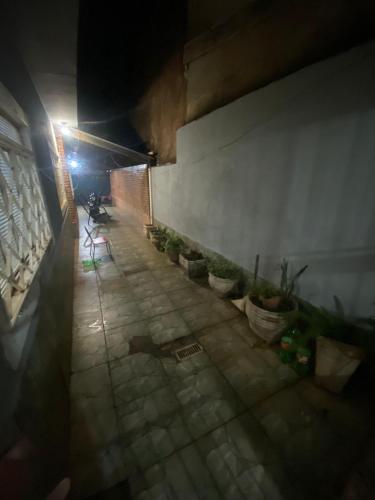a hallway with potted plants on a wall at night at casa para festa do peão de barretos in Barretos