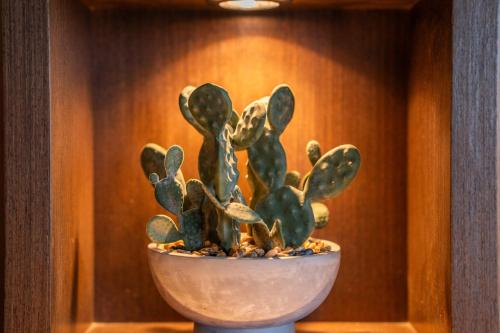 a cactus in a pot in front of a wall at Penthouse d'Exception, Terrasse et Piscine Privée in Bouznika