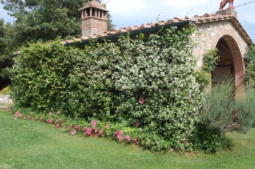 a large bush of flowers on the side of a building at Agriturismo San Ansanino- Piscina con spiaggia-Aria condizionata in Pari